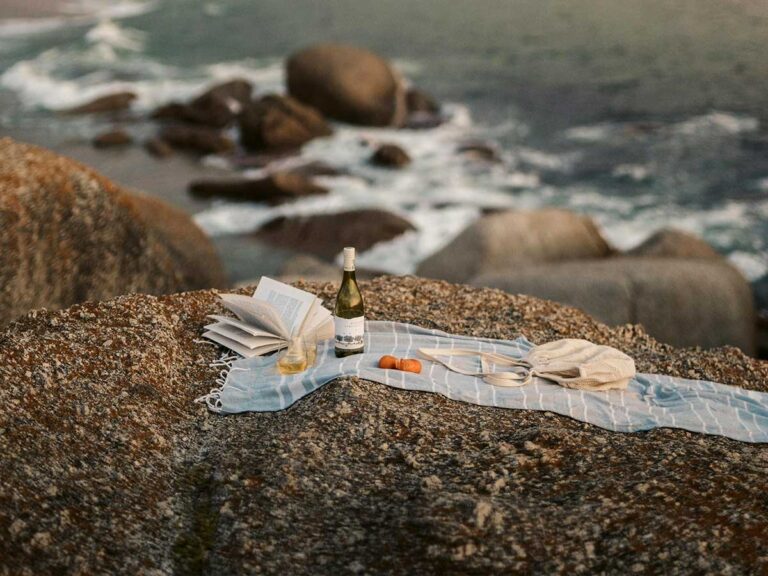 פיינשמקר - יינות לקיץ Photo by Taryn Elliott: https://www.pexels.com/photo/wine-and-book-on-blanket-on-rocky-shore-7607999/