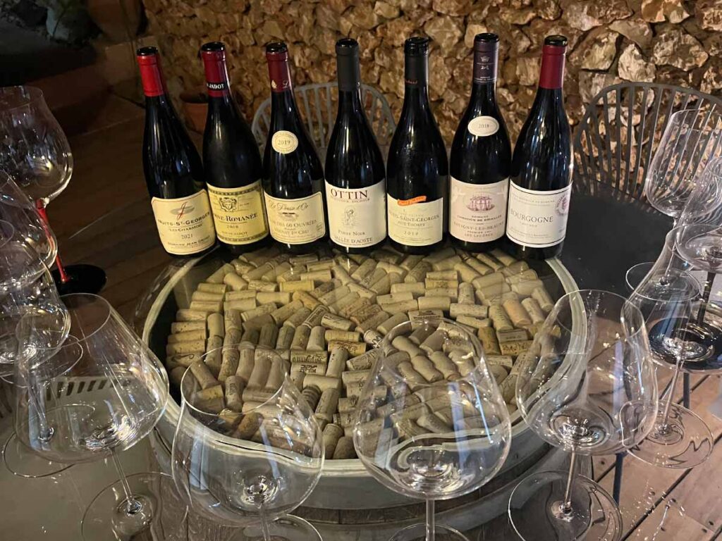 טעימת פינו נואר וכוסות אווקטובר 2025 - בלוג הפיינשמקר