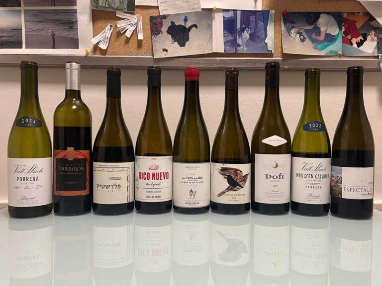 טעימת גרנאצ׳ה דצמבר 2025 - בלוג הפיינשמקר